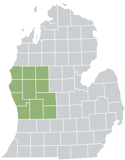 michigan map with highlighted counties