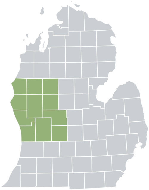 location-map michigan map with highlighted counties